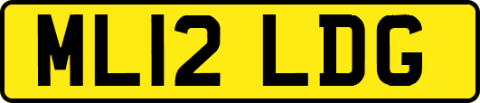 ML12LDG
