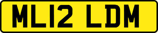 ML12LDM