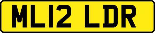 ML12LDR