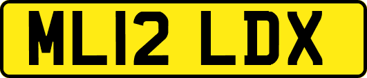 ML12LDX