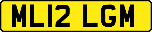 ML12LGM