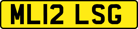 ML12LSG