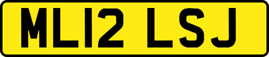 ML12LSJ