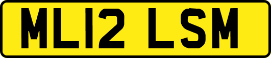 ML12LSM