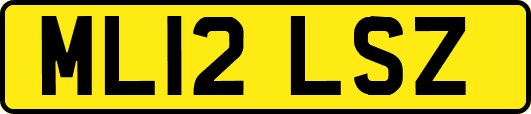 ML12LSZ