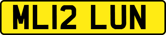 ML12LUN