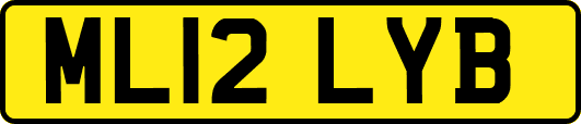 ML12LYB