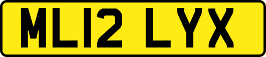 ML12LYX