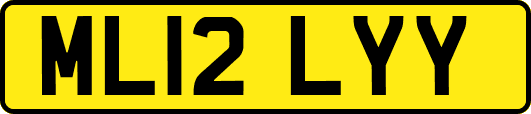 ML12LYY