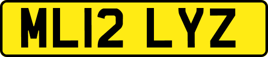 ML12LYZ