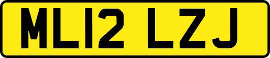ML12LZJ