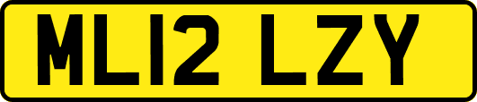 ML12LZY
