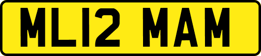 ML12MAM