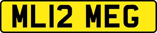 ML12MEG