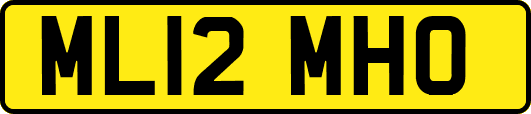 ML12MHO