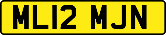 ML12MJN