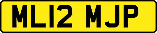 ML12MJP