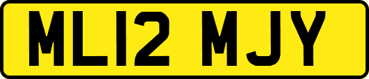 ML12MJY