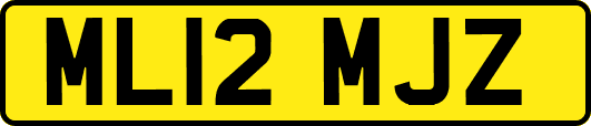 ML12MJZ