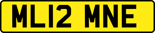 ML12MNE