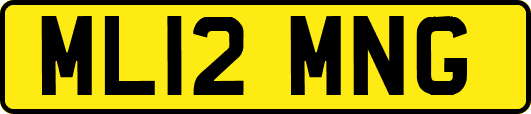 ML12MNG