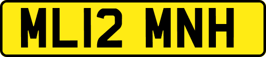 ML12MNH