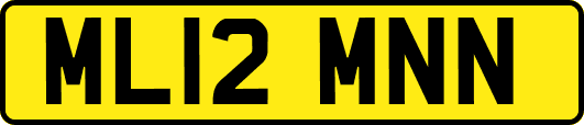 ML12MNN