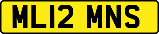 ML12MNS