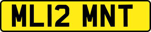 ML12MNT