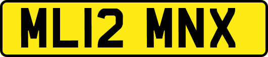 ML12MNX