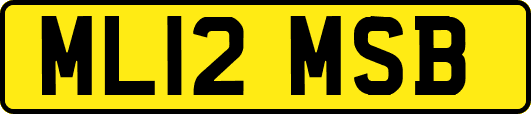 ML12MSB