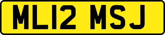 ML12MSJ