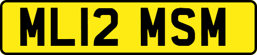 ML12MSM