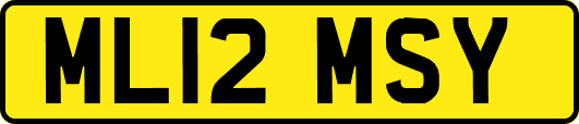 ML12MSY