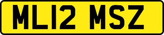 ML12MSZ