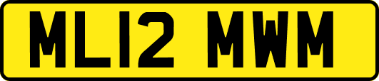 ML12MWM