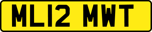 ML12MWT