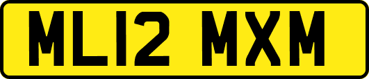 ML12MXM