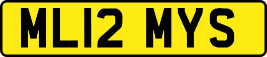 ML12MYS