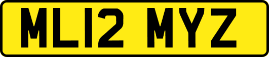 ML12MYZ