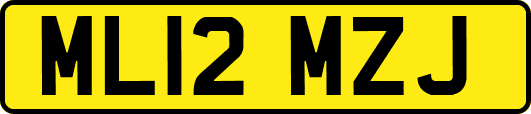 ML12MZJ