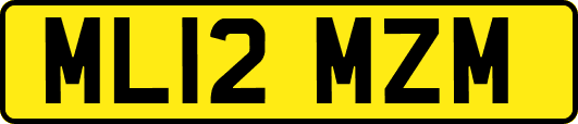 ML12MZM