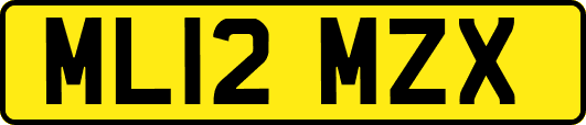 ML12MZX