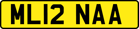ML12NAA