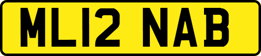 ML12NAB