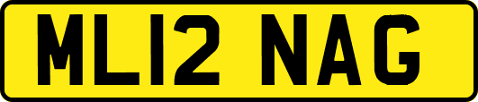 ML12NAG