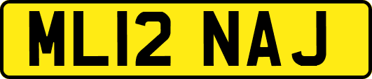 ML12NAJ