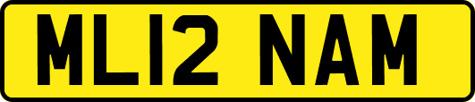 ML12NAM