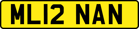 ML12NAN