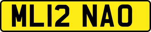ML12NAO